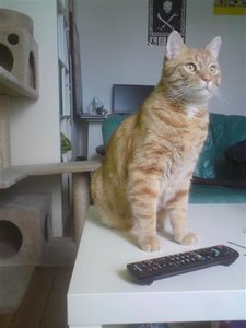 DSC00164 (Klein).JPG