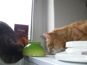 CIMG0249 (Klein).JPG