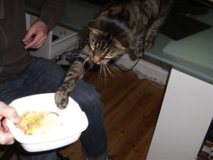 CIMG0285 (Klein).JPG