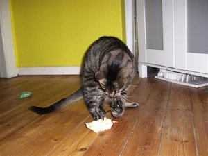 CIMG0298 (Klein).JPG