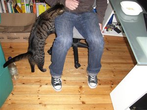 CIMG0282 (Klein).JPG