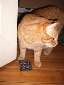 CIMG0256 (Klein).JPG