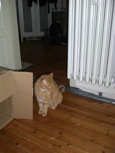 CIMG0281 (Klein).JPG