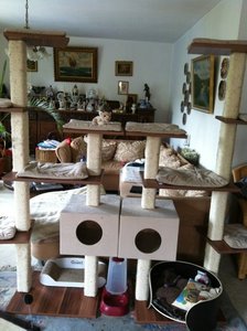 ImageUploadedByTapatalk HD1347740068.305157.jpg