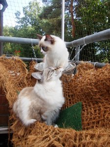 DSCN0557 - Kopie.JPG