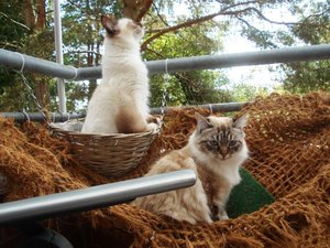 DSCN0553 - Kopie.JPG