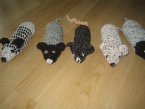 kuschel - baustelle und ratten 026.jpg