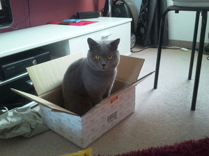 2012-09-16 16.01.22.jpg