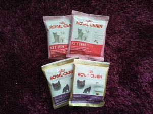 2012-09-16 16.19.39.jpg