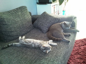 2012-09-10 09.39.23.jpg