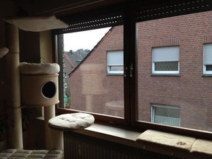 Aufstieg Fensterbank.JPG