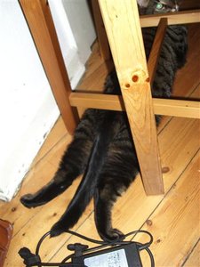 CIMG0257 (2) (Klein).JPG