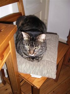 CIMG0246 (2) (Klein).JPG