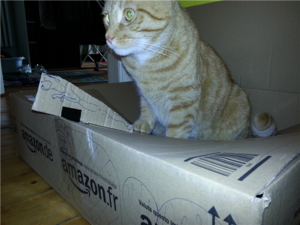 untitled (Klein).png