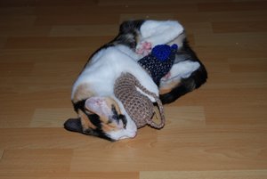 Kopie von DSC_0295.JPG