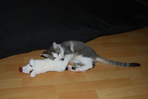 Kopie von DSC_0302.JPG