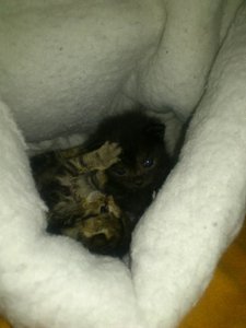 150153_419968908063575_147450995_n (1).jpg