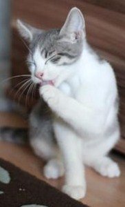 IMG_2321 (Medium).JPG