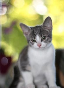 IMG_2329 (Medium).JPG