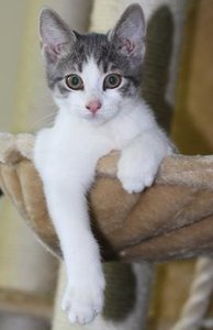 IMG_2337 (Medium).JPG