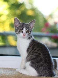 IMG_2357 (Medium).JPG