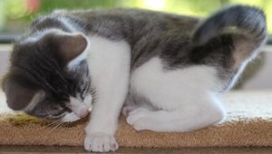 IMG_2360 (Medium).JPG