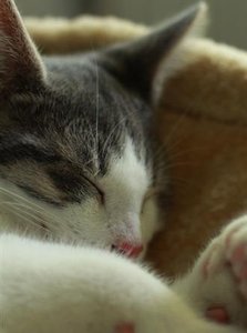 IMG_2650 (Medium).JPG