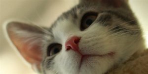 IMG_2678_Kopie (Medium).jpg