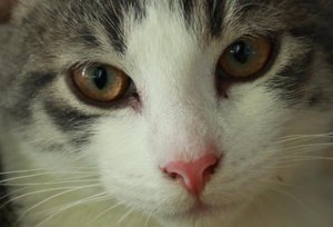 IMG_2689_Kopie (Medium).jpg