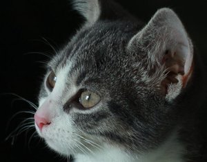 IMG_2696Kopie (Medium).jpg