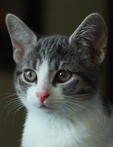 IMG_2698_Kopie (Medium).jpg