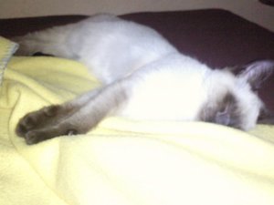 26428_102668599767226_856135_n.jpg 26428_102668599767226_856135_n.jpg