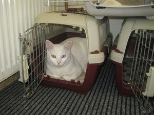 Urflaub udn herr Krause 013.jpg