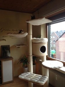 Neuer Kirstins Kratbaum.JPG