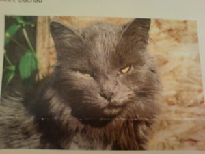 Handyfotos 5 005.JPG