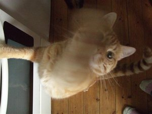 CIMG0257 (Klein).JPG