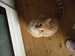 CIMG0258 (Klein).JPG