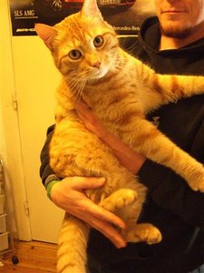 CIMG0275 (Klein).JPG