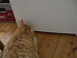 CIMG0266 (Klein).JPG