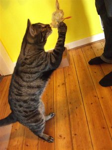 CIMG0257 (2) (Klein).JPG