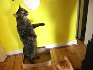 CIMG0255 (2) (Klein).JPG