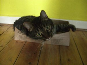 CIMG0252 (2) (Klein).JPG