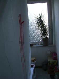 CIMG0251 (2) (Klein).JPG