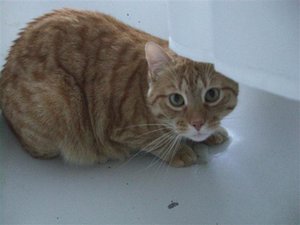 CIMG0250 (Klein).JPG