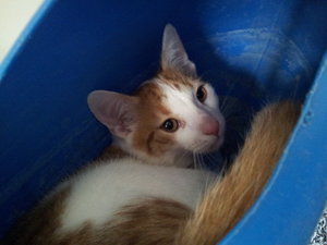 in der Gießkanne.jpg