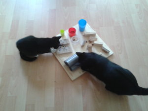 2012-10-08 11.34.47.jpg