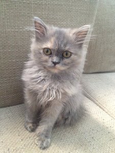 Foto 04.10.12 19 10 27.jpg