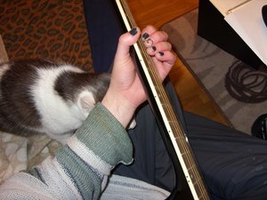 Musikalische Nova.JPG