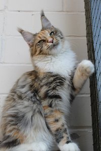 Eyes 10 Monate (6).JPG