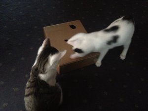 attachment (107).jpg